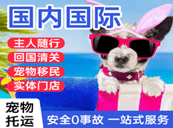 博乐阿拉山口机场托运国际宠物托运 【国